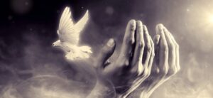 dove, hands, peace-7049205.jpg